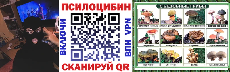 Галлюциногенные грибы Cubensis  Купить закладки  Сафоново 